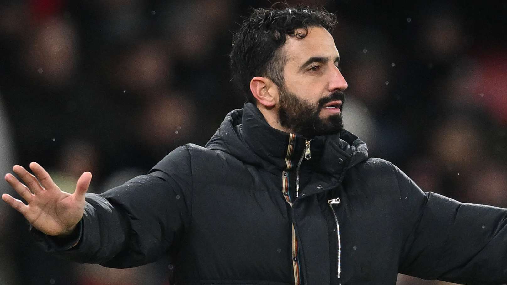 星光熠熠的 星光熠熠的