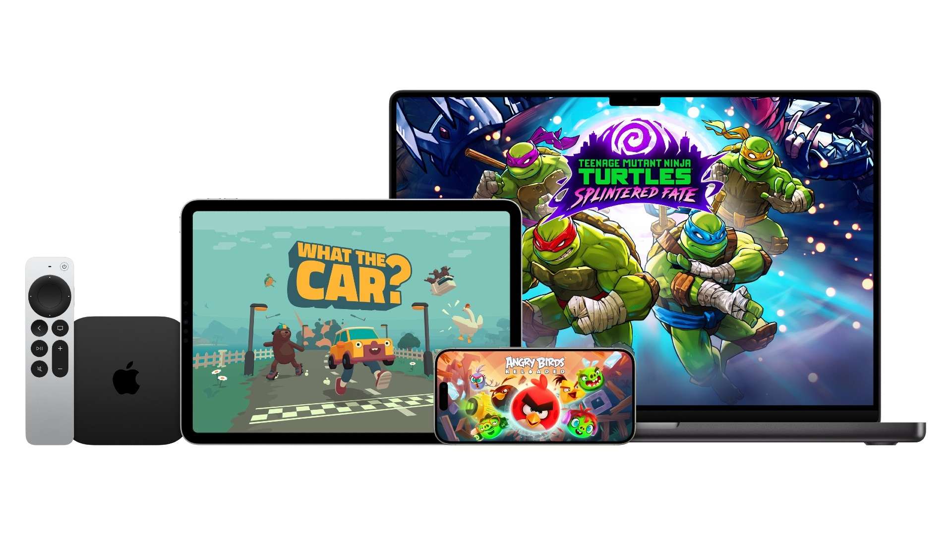 理解教练布 理解教练布